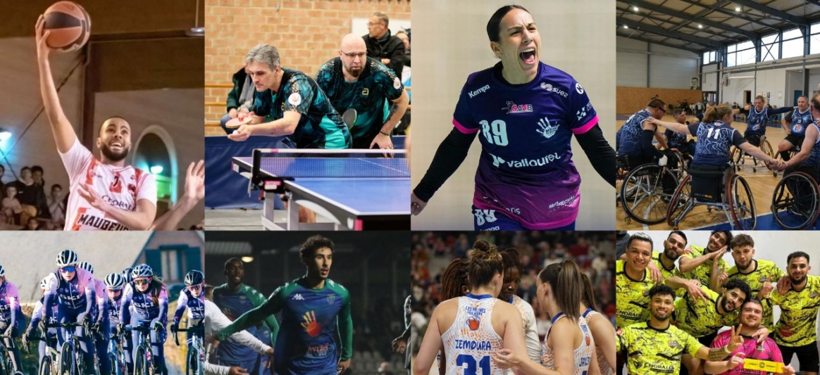 clubs de haut niveau : Sambre Avesnois Handball - AS Aulnoye Basket - Rousies Cœur de Sambre - Handisport Basket Aulnoye-Aymeries - USM Basket - Entente Feignies Aulnoye Football Club - Team Avesnois - PPC Jeumont