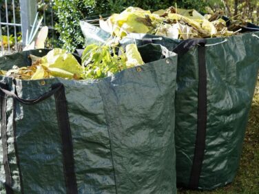 collecte des déchets verts - CAMVS