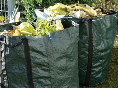 collecte des déchets verts - CAMVS