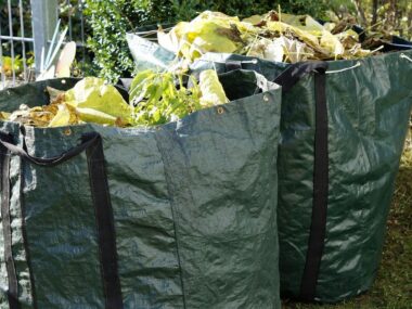 collecte des déchets verts - CAMVS