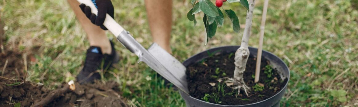 commandes plantes locales Hauts-de-France
