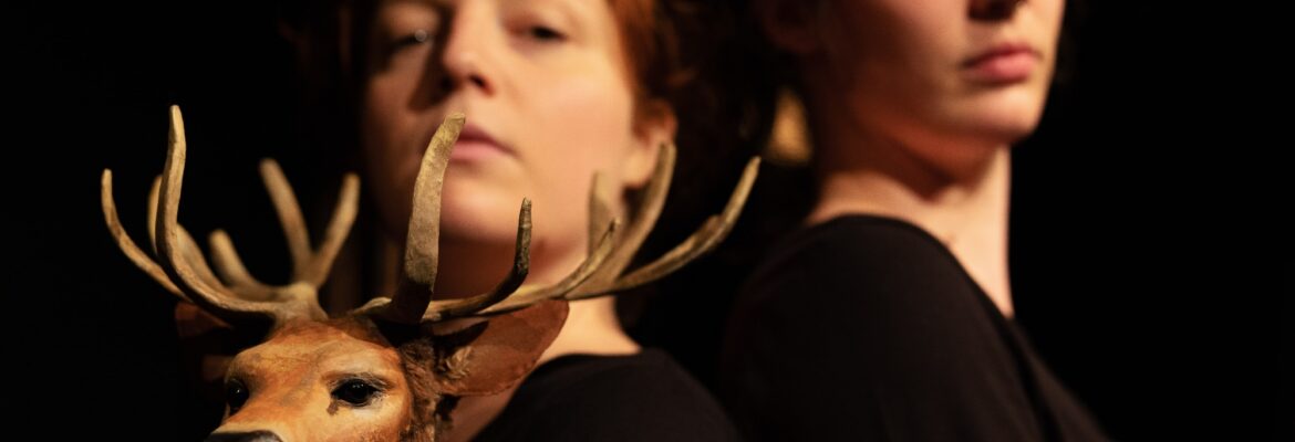 da58da_1-min_24667821 (1)