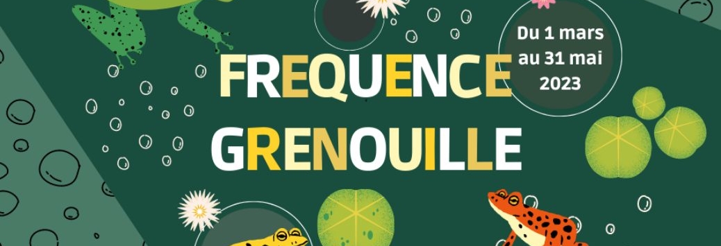 fréquence grenouille animaux de la nuit