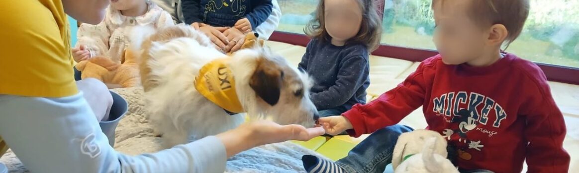 médiation animale crèche médiation animale crèche