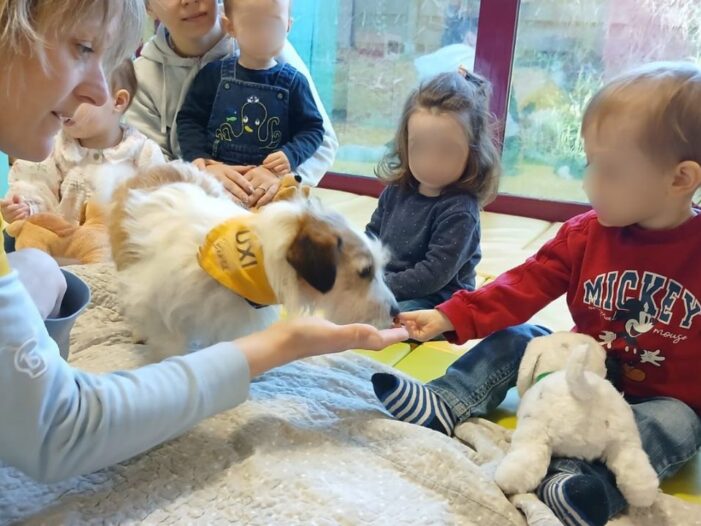 médiation animale crèche