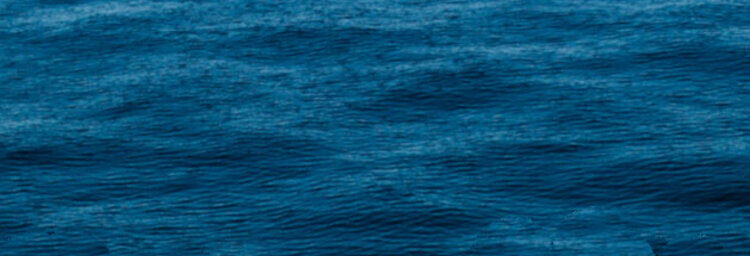 muzzix - Aulnoye Aymerie